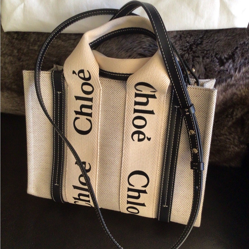 Chloé Small Canvas bag